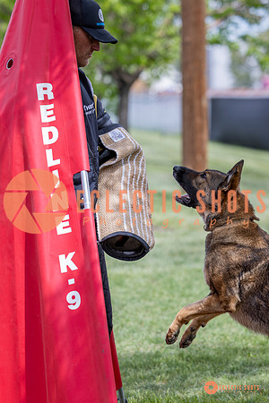 2025-K9Force-MayExams-6355