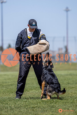 2025-K9Force-MayExams-7266