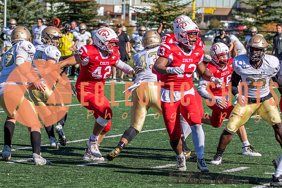 CalgaryColts-1074
