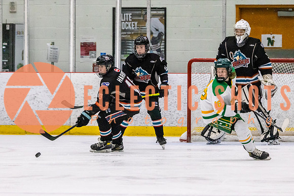 RMC2021-11-10-CalgaryNStars-OKRockets-5555