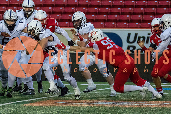 CalgaryColts2018-1554