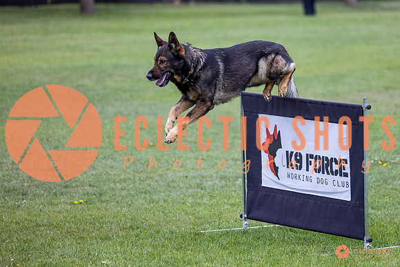 2025-K9Force-MayExams-5586