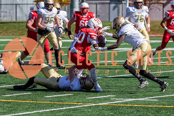 CalgaryColts-9563