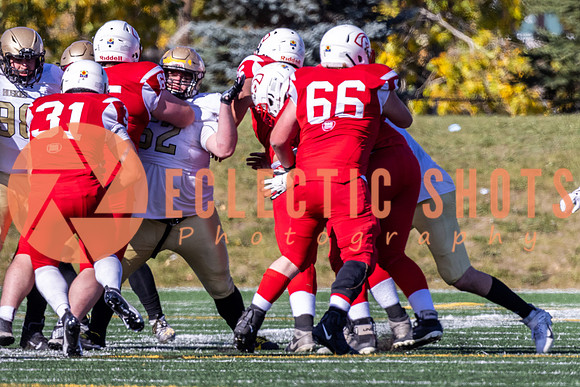 CalgaryColts-9774