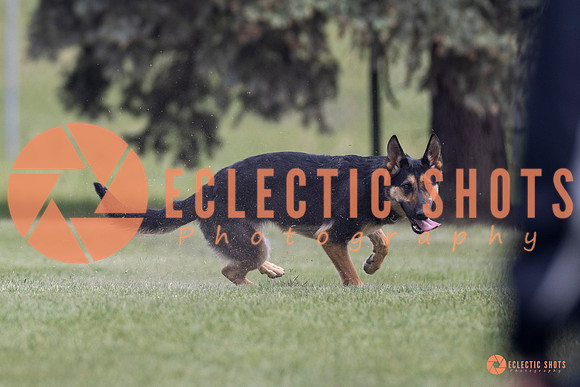 2025-K9Force-MayExams-7307