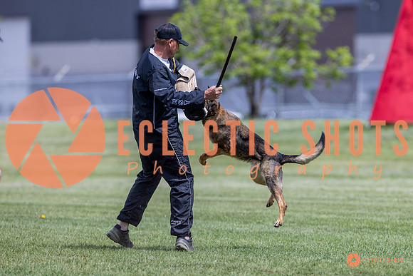 2025-K9Force-MayExams-7347