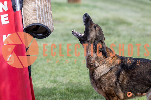 2025-K9Force-MayExams-6364