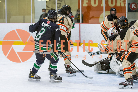 RMC2021-11-12-LloydBobcats-FVT-Birds-6173