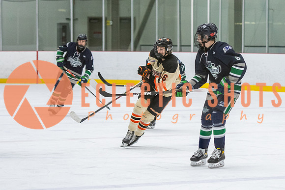 RMC2021-11-12-LloydBobcats-FVT-Birds-6172