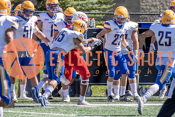 CalgaryColts2021-7069