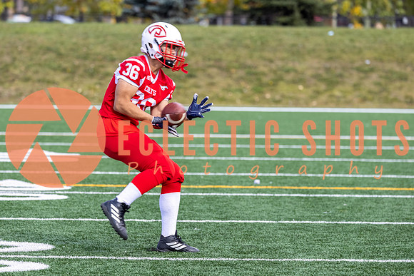 CalgaryColts-8932