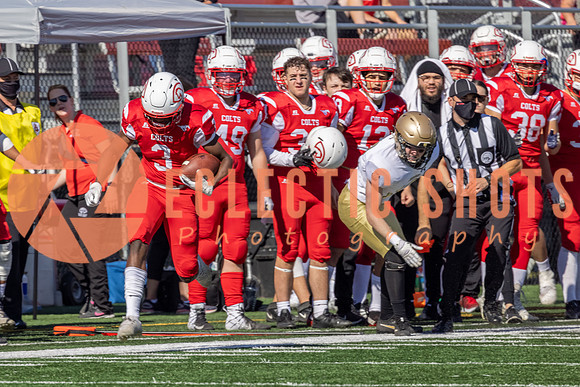 CalgaryColts-9411