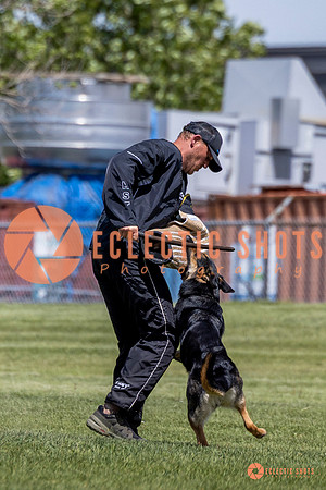2025-K9Force-MayExams-7296-2