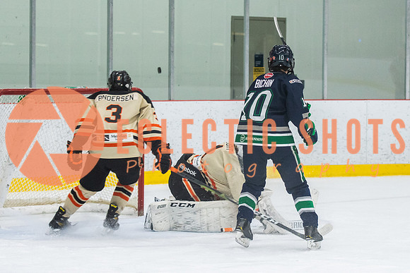 RMC2021-11-12-LloydBobcats-FVT-Birds-6103