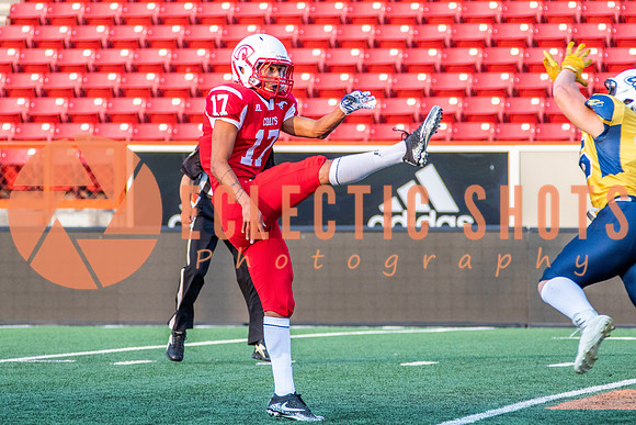 CalgaryColts-2573
