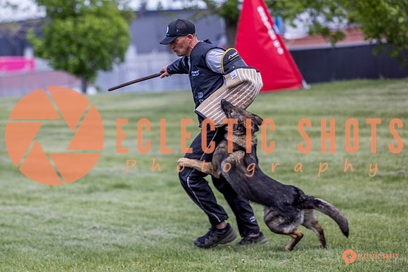 2025-K9Force-MayExams-6944