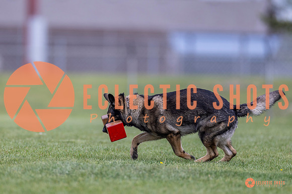 2025-K9Force-MayExams-6620