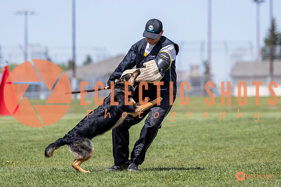 2025-K9Force-MayExams-7258