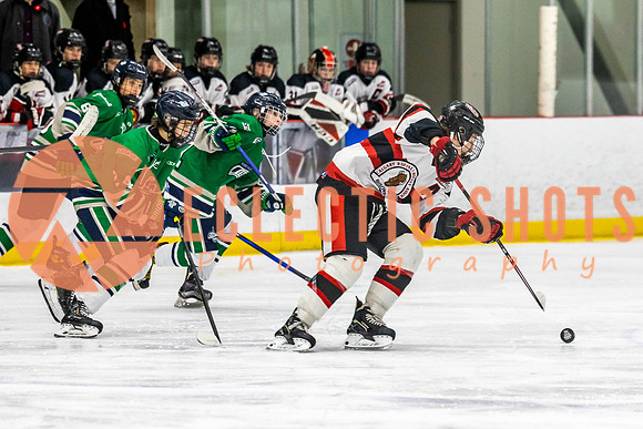 2022.11.11CalBisons-FVTBirds-4048