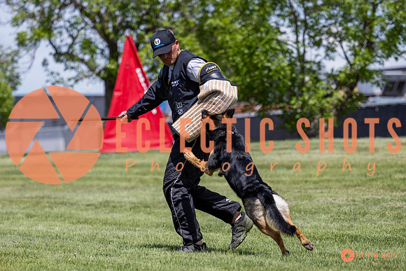 2025-K9Force-MayExams-7228