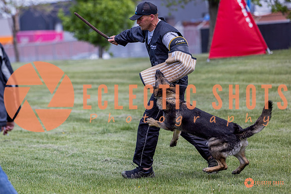 2025-K9Force-MayExams-6946