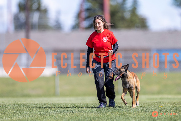 2025-K9Force-MayExams-8168