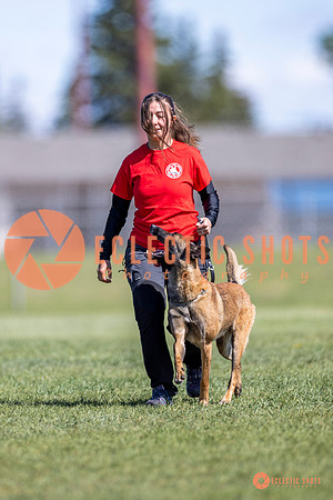 2025-K9Force-MayExams-8149