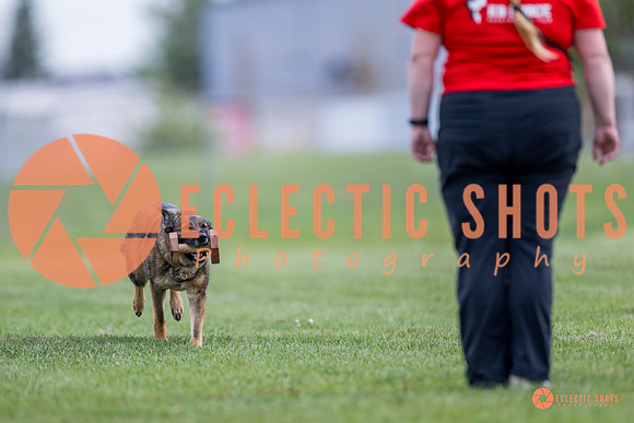 2025-K9Force-MayExams-6135