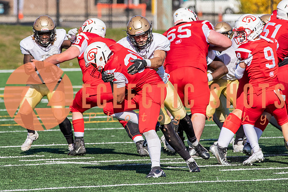 CalgaryColts-1580