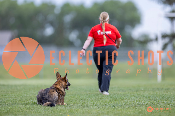 2025-K9Force-MayExams-6096