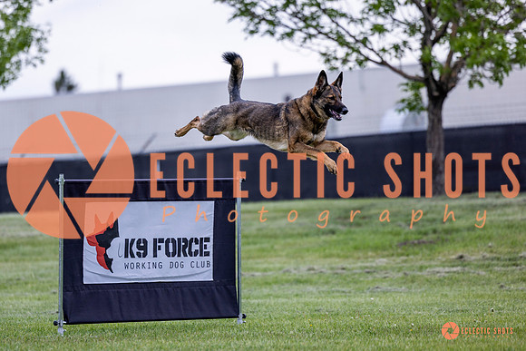 2025-K9Force-MayExams-5431