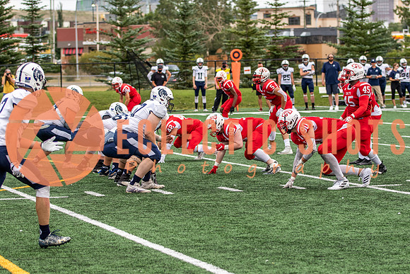 CalgaryColts2021-5254