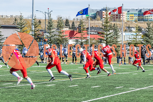 CalgaryColts2021-1585