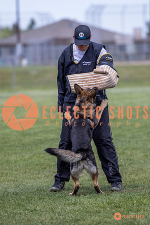2025-K9Force-MayExams-6978
