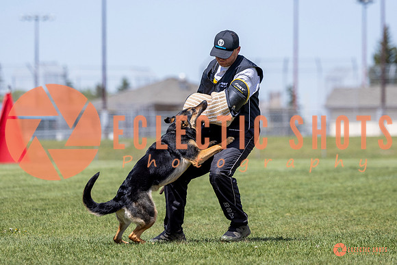 2025-K9Force-MayExams-7256
