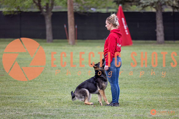 2025-K9Force-MayExams-5794