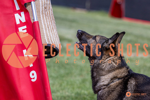 2025-K9Force-MayExams-6894