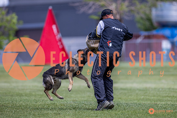 2025-K9Force-MayExams-7765