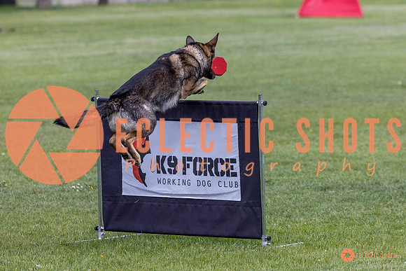 2025-K9Force-MayExams-5890
