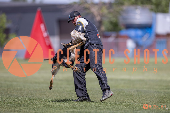 2025-K9Force-MayExams-8104