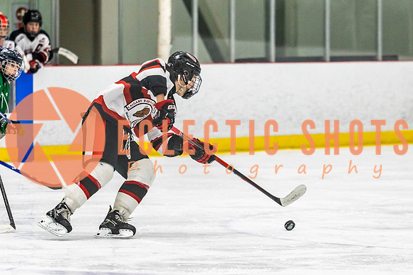 2022.11.11CalBisons-FVTBirds-4049