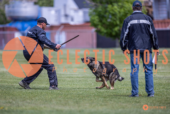2025-K9Force-MayExams-7751