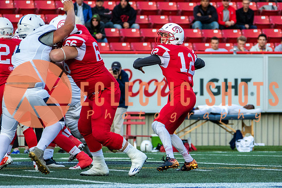CalgaryColts2018-1052