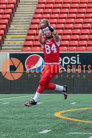 CalgaryColts2018-0803
