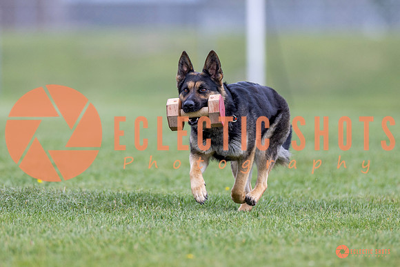 2025-K9Force-MayExams-6339