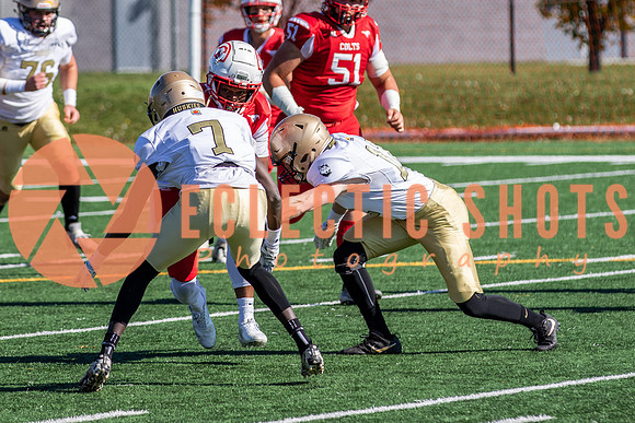 CalgaryColts-9557