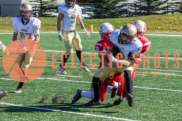 CalgaryColts-1114