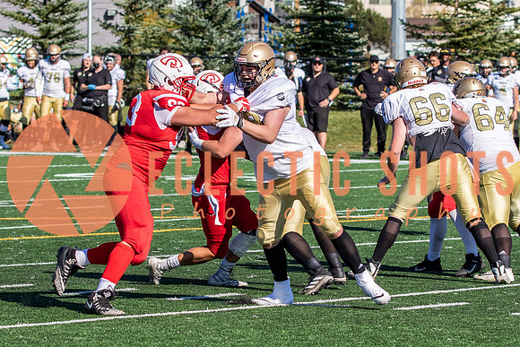 CalgaryColts-1136