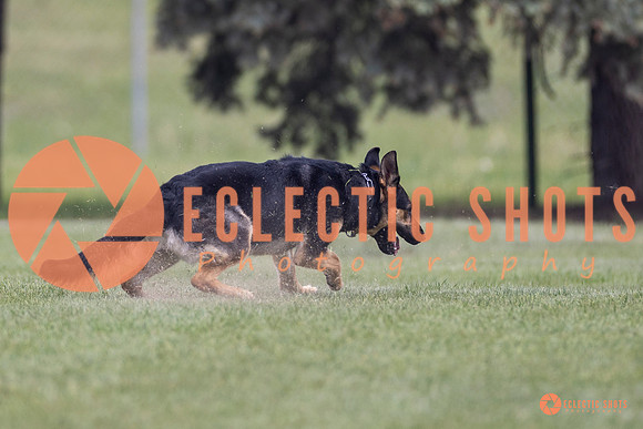2025-K9Force-MayExams-7296