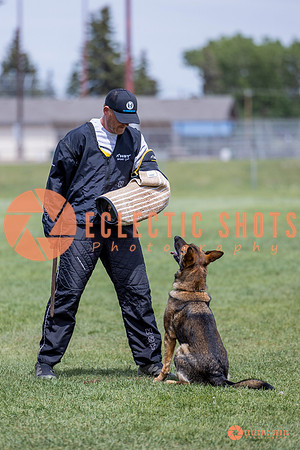 2025-K9Force-MayExams-6460